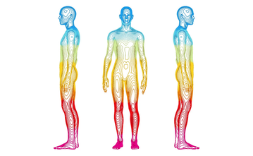 The Body Scan & You: Getting back into your own Body. - Donald Physiotherapy